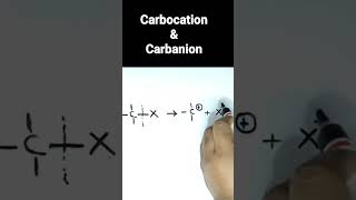 Carbocation Carbanion  Organic Chemistry  class 11  NCERT  CBSE [upl. by Silvio939]