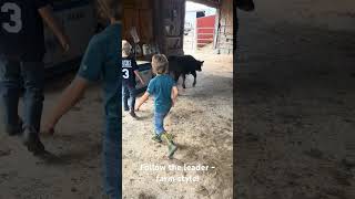 These little farmers know who’s in charge FarmKids FollowTheLeader CountryLife [upl. by Dammahum]