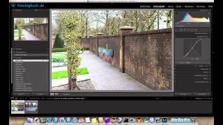 Lightroom meine Arbeitsweise Teil 9  Kontraste Gradationskurve [upl. by Malan]