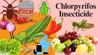 Chlorpyrifos Chemistry Mode of Action Formulation Uses and Dosage [upl. by Sacha]