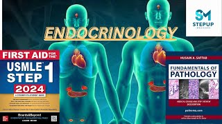 3Endocrine  Growth Hormone Physiology  First Aid USMLE Step 1  Urdu  Hindi [upl. by Etnuahc]