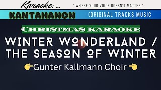 Winter Wonderland  The Season Of Winter karaoke lyrics [upl. by Nauqaj]