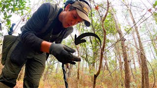 Home Site Full of Treasures Reveals Old Coins Metal Detecting [upl. by Reagen]