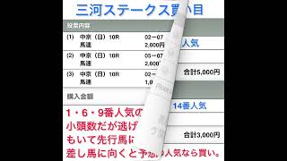 小倉記念・関屋記念・三河S・稲妻S 予想 買い目 2024年 [upl. by Ellehcyt]