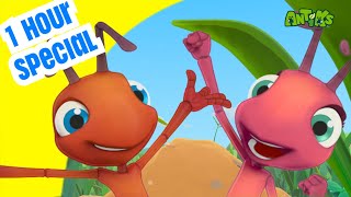 BEST OF ANTIKS SEASON 01  1 HOUR SPECIAL  Funny Cartoons For CHILDREN [upl. by Dilly880]