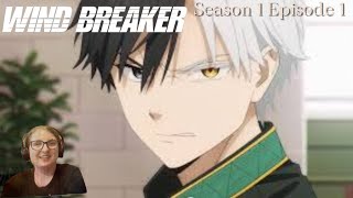 This Show Started Bang Wind Breaker Season 1 Episode 1 Reaction [upl. by Jonah226]