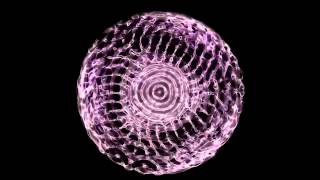 DJ ELBE  lackaboom  Water Cymatics by MagicAqua [upl. by Kalvin]