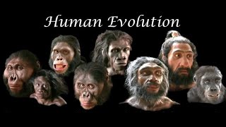 Grade 12 life sciences introduction to human evolution PART 1  MSaidi ThunderEDUC [upl. by Lennad]