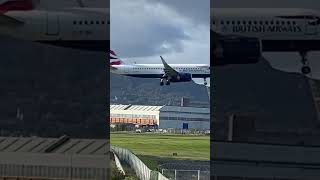 BA A320neo lands into BHD airplane trending belfastcityairport aeroplane britishairways shorts [upl. by Nosdrahcir638]