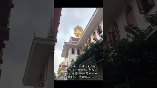 曼谷市区大佛，来曼谷一定要去一趟 泰国 travel 泰国旅行 泰国生活 thailand 曼谷 曼谷旅行 曼谷生活Wat Paknam Phasi Charoen [upl. by Almira]