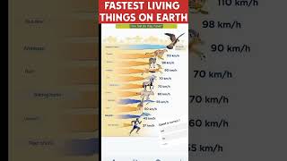 Fastest living things on earth  fastest animals on earth  speed of animals  man speed  run fast [upl. by Sivartal]