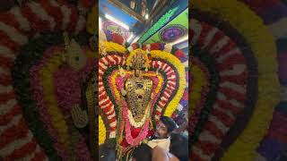 Pondicherry murugan 🙏 thirukalyanam trendingshorts trendingvideo trending trend love song [upl. by Doria657]