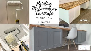 How Do I Paint Melamine DIY Tips [upl. by Franzen558]