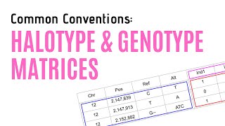 Haplotype and Genotype Matrices  Common Conventions [upl. by Graner]