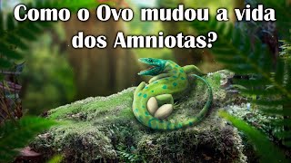 A História Evolutiva do Ovo Amniota EP 10 [upl. by Stevens431]