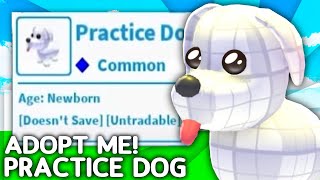 How To Get The SECRET Practice Dog Pet In Adopt Me Roblox [upl. by Subocaj]