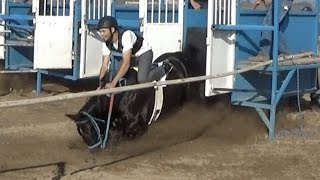 Carreras de Caballos en Madera California 13 de Noviembre 2016 [upl. by Perceval10]