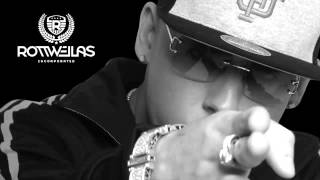 Mami Nos Matamos Audio  Cosculluela El Principe [upl. by Elamef209]