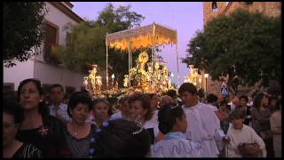 PROCESION VIRGEN DE LA PIEDADVillanueva de Alcardete [upl. by Gothar611]