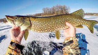 Early Ice And The Pike Were Hungry [upl. by Stallworth501]