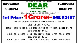 🔴 Evening 0800 PM Dear Nagaland State Live Lottery Result Today ll Date02092024 ll [upl. by Hoi392]