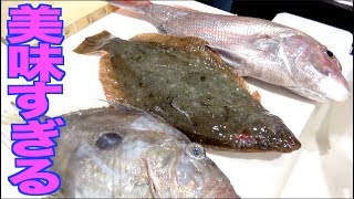 落とし込みで釣った魚を料理あまりの美味さに釣りよか大興奮 [upl. by Child]