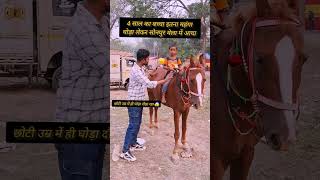 4 साल का बच्चा इतना कीमती घोड़ा को दौड़ा रहा 😱 सोनपुर मेला में ll horse horsemarket sonpurmela [upl. by Eniahs]