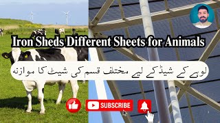 Iron Sheds Different Sheets for Animals  لوہے کے شیڈ کے لیے مختلف قسم کی شیٹ کا موازنہ  hsscattle [upl. by Ihsoyim939]