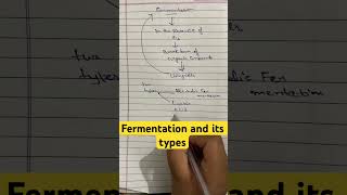 what is fermentation  types of fermentation viralshort ytshorts viral [upl. by Eedyah]