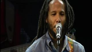 Black Cat  Ziggy Marley Live at Les Ardentes Belgium 2011 [upl. by Aver682]