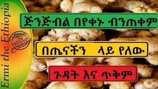 በየቀኑ ጅንጅብል የምንጠቀም ከሆነ በጤናችን ላይ የለውን ጉዳት እና ጥቅም Ginger Health Benefits amp SideEffects [upl. by Elroy728]