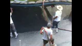 Black Diamond Brite Plaster on Gunite Pool by Affordable Pools [upl. by Amy]