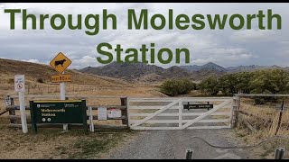 Through Molesworth Station [upl. by Lanta995]