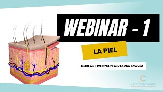 Webinar Cosmético La Piel [upl. by Flemings]