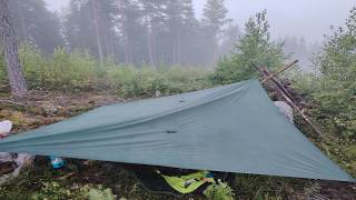 Camping in the Finnish wilderness Overnight in a bushcraft tarp shelter 1 day solo camp [upl. by Hsaniva]