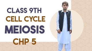 Meiosis  Class 9th  Chp 5  Lec 5 [upl. by Ulita]