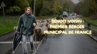 Transhumance 2024 Épisode 2  Benoit Voisin berger municipal depuis 20 ans à Évreux [upl. by Kaczer87]