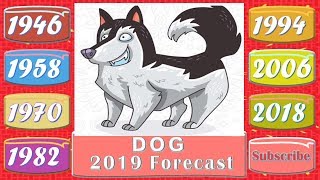 Dog Horoscope 2019  Born 1946 1958 1970 1982 1994 2006 2018 [upl. by Anirbas866]