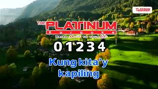 Platinum karaoke numbers 0  9 [upl. by Verity]