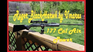 Ruger Blackhawk [upl. by Kaden]