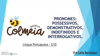 Pronomes possessivos demonstrativos indefinidos e interrogativos [upl. by Eruot912]