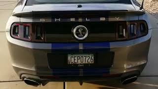 My 2014 GT500 walk around [upl. by Thay130]