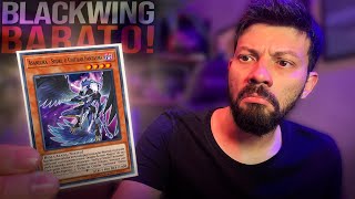 DECK BLACKWING SURPREENDENTE  YuGiOh TCG [upl. by Karie]