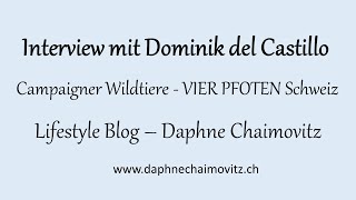 Interview mit Dominik del Castillo [upl. by Emor135]