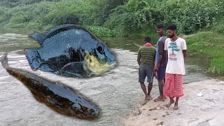 इतना जादा मछली तमिलनाडु में  Fishing Village In India  Fishing Village [upl. by Benedix797]