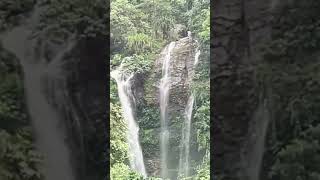 Pahari jharna Kalimpong Water falls [upl. by Campney]