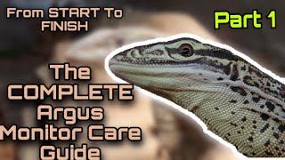 The Complete Argus Monitor Care Guide From Start To Finish  PART ONE Overview Housing Basking [upl. by Jaenicke]