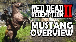 Mustang Overview  Red Dead Redemption 2 Horses [upl. by Atnahs]