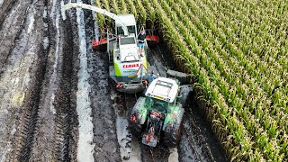 Mais 2023  EXTREME MUD with Claas Jaguar 900  Pleizier amp Timmer [upl. by Olotrab]