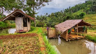 LUAR BIASA  Aktivitas Warga Di Kampung Terpencil Sejuk Indah Alam Desanya Pedesaan Jawa Barat [upl. by Oine]